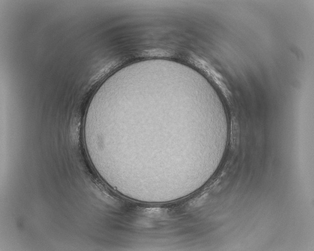 X0000114500153200911161241