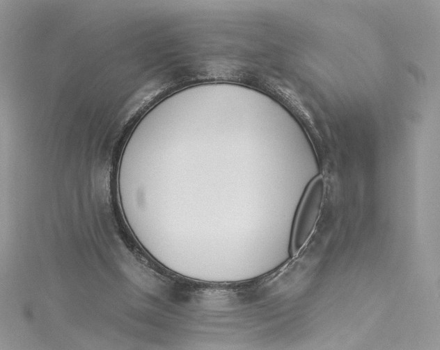 X0000114500154200911161241