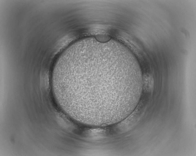 X0000114500158200911161241