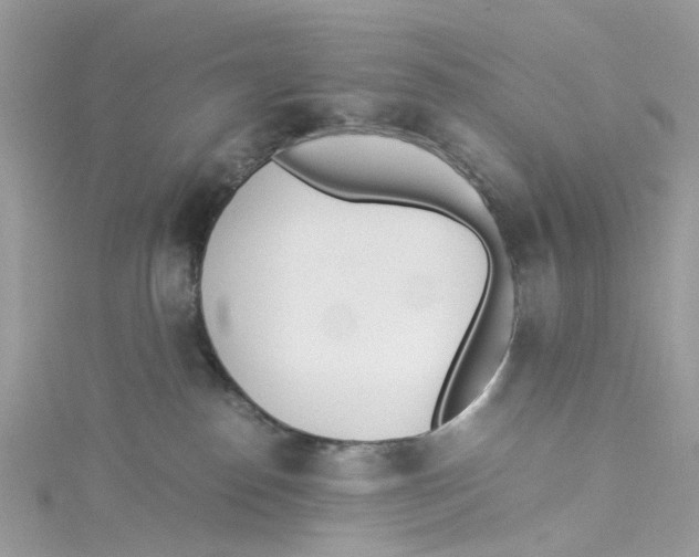 X0000114500186200911161241