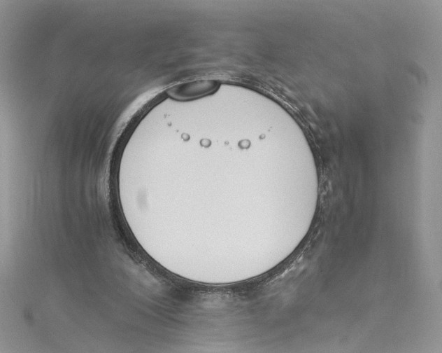 X0000114500200200911161241