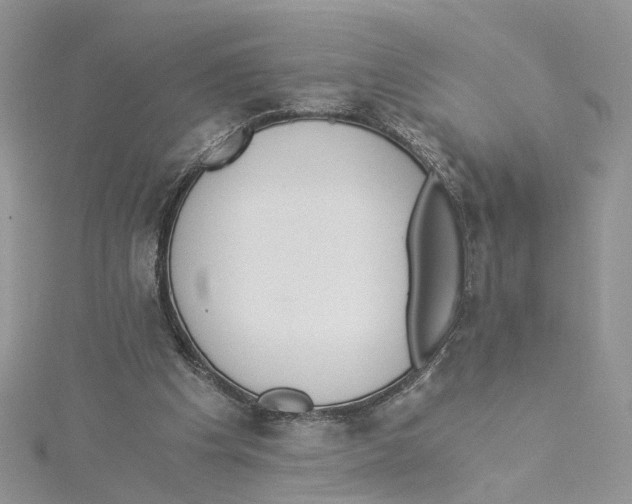 X0000114500201200911161241