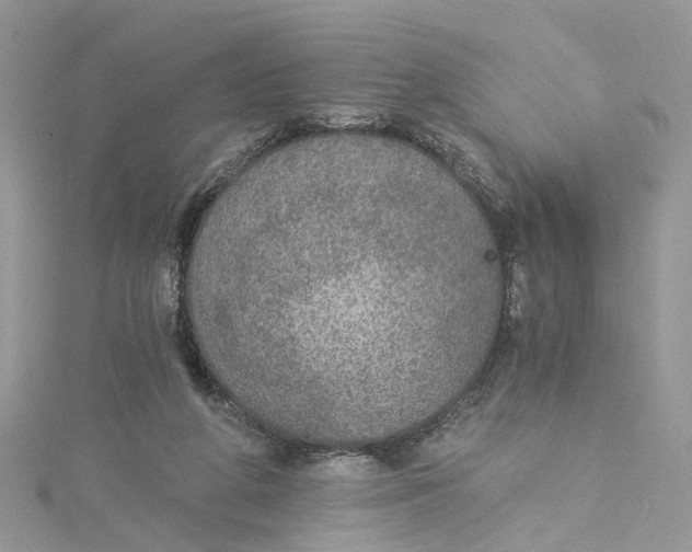 X0000114500210200911161241