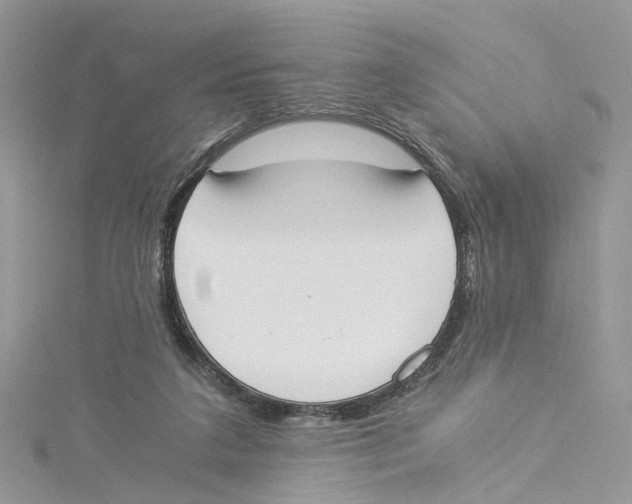 X0000114500211200911161241