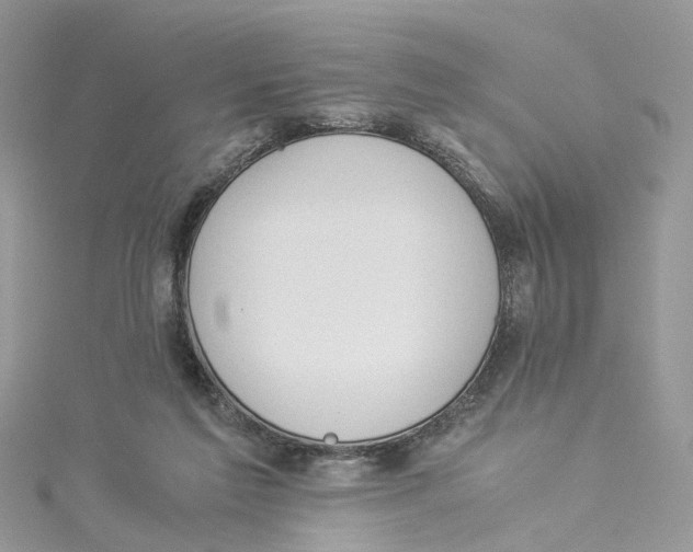 X0000114500213200911161241
