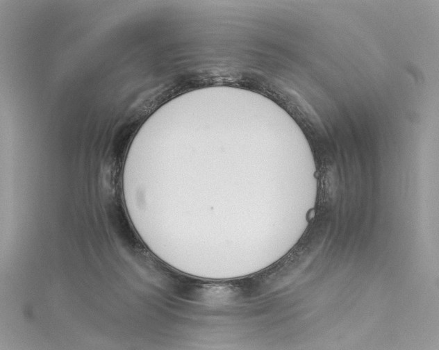 X0000114500218200911161241