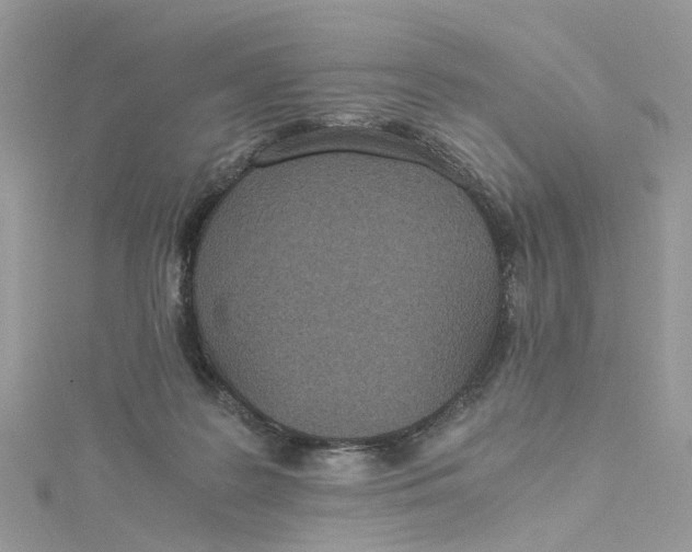 X0000114500219200911161241