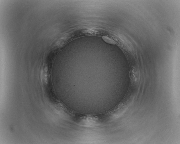 X0000114500223200911161241