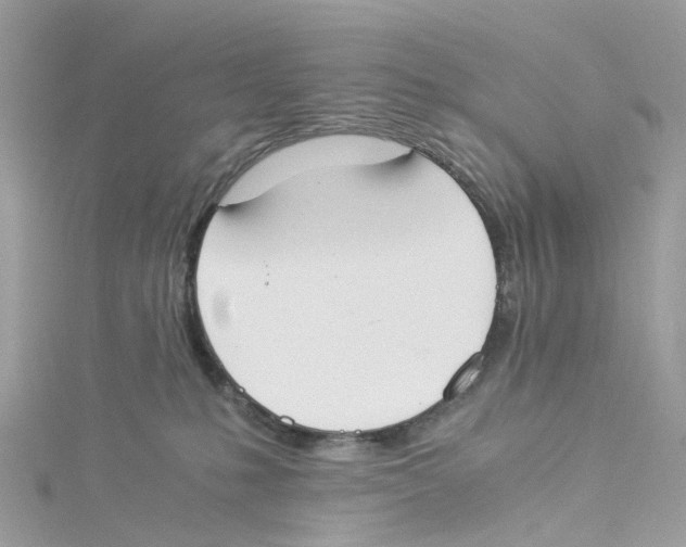 X0000114500231200911161240