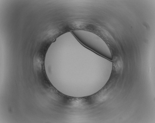X0000114500235200911161240