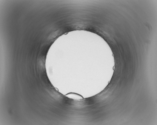 X0000114500240200911161240