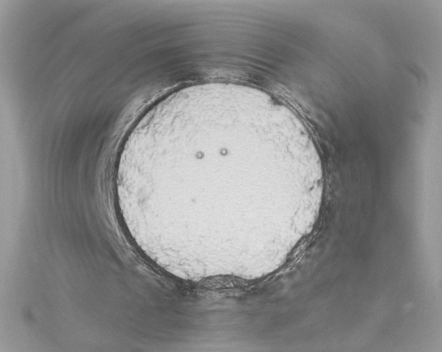 X0000114500241200911161240