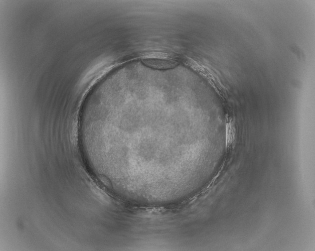 X0000114500243200911161240