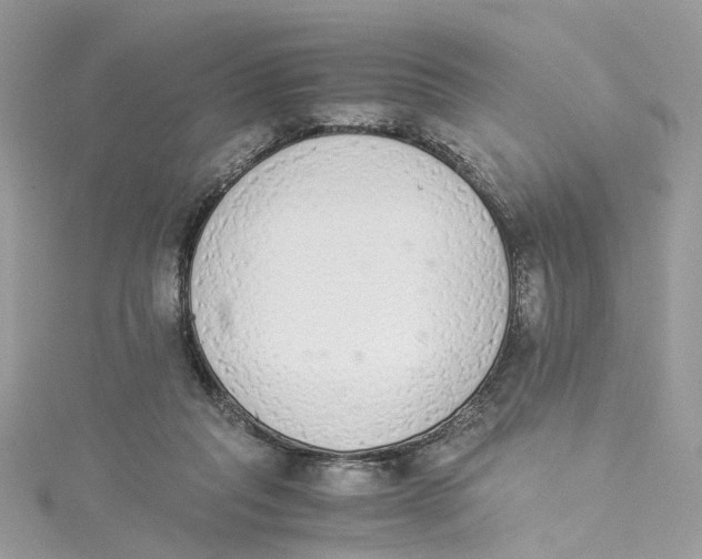 X0000114500261200911161240