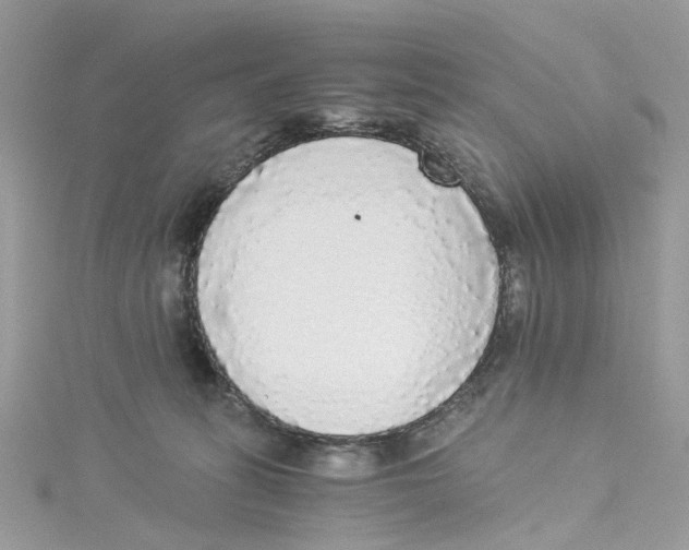 X0000114500275200911161240