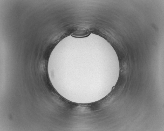 X0000114500280200911161240