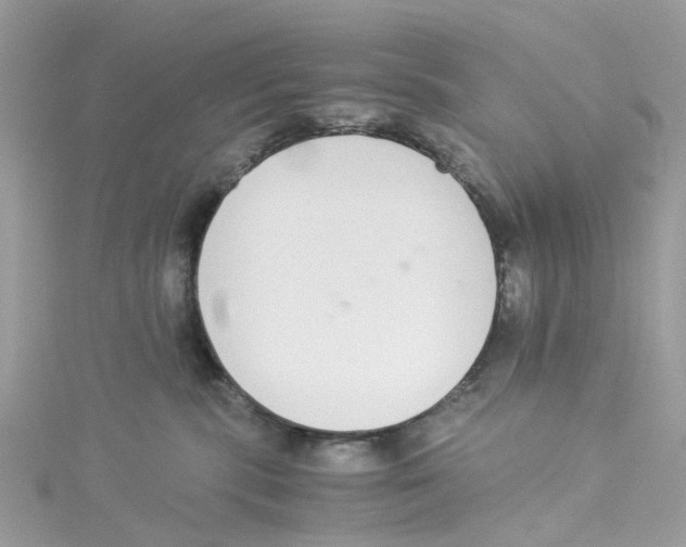 X0000114500283200911161240