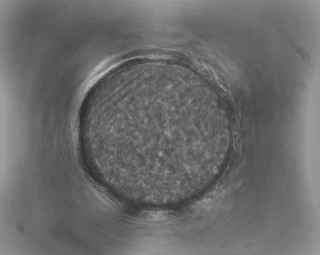 X0000114500295200911161240