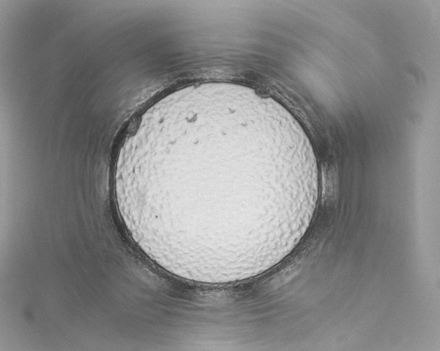 X0000114500301200911161239