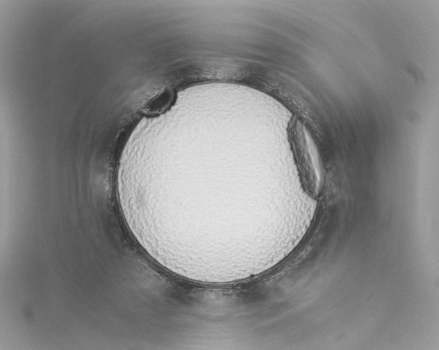 X0000114500305200911161239