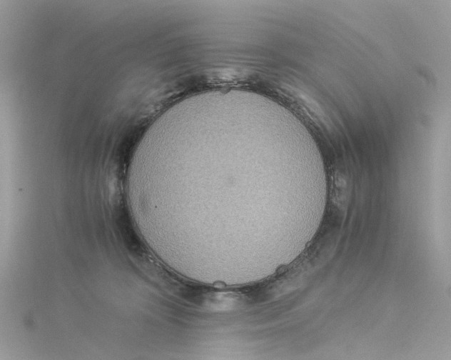 X0000114500324200911161239