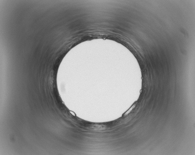 X0000114500328200911161239