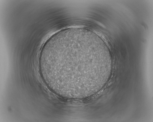 X0000114500337200911161238
