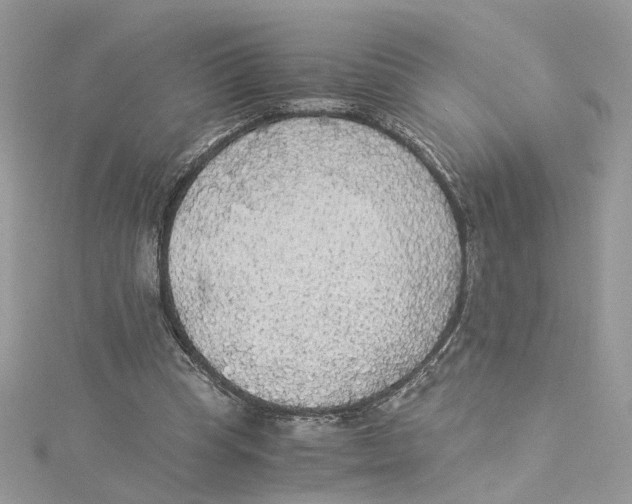 X0000114500345200911161238