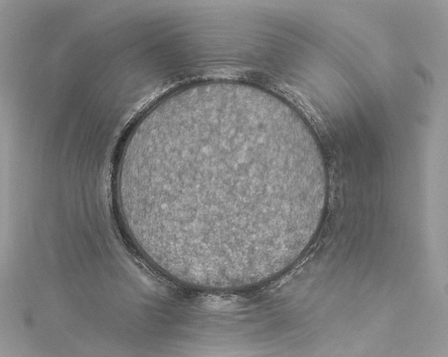 X0000114500346200911161238