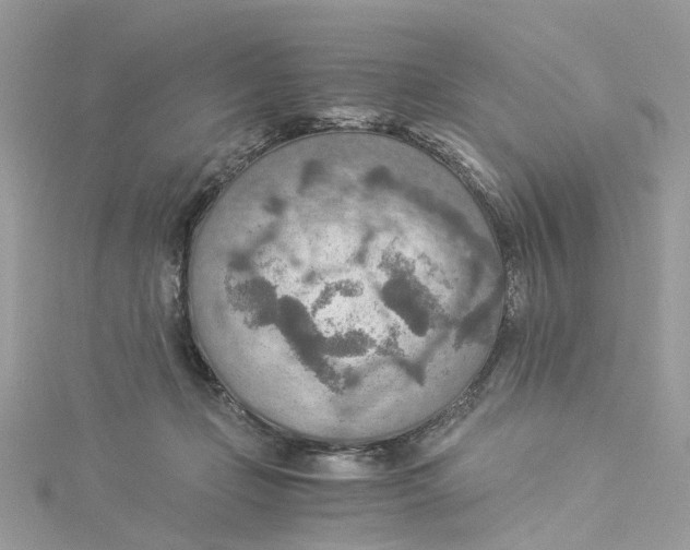 X0000114500365200911161239