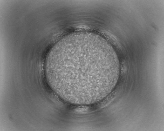 X0000114500369200911161239