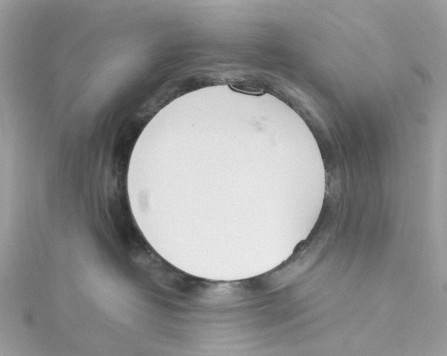 X0000114500382200911161239