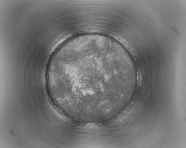 X0000114500390200911161238