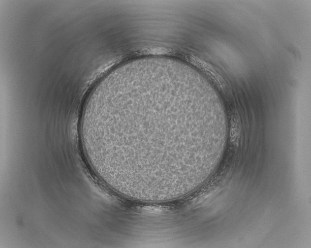 X0000114500394200911161238