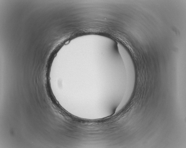X0000114500395200911161238