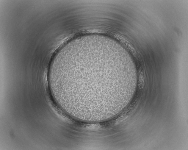 X0000114500398200911161238