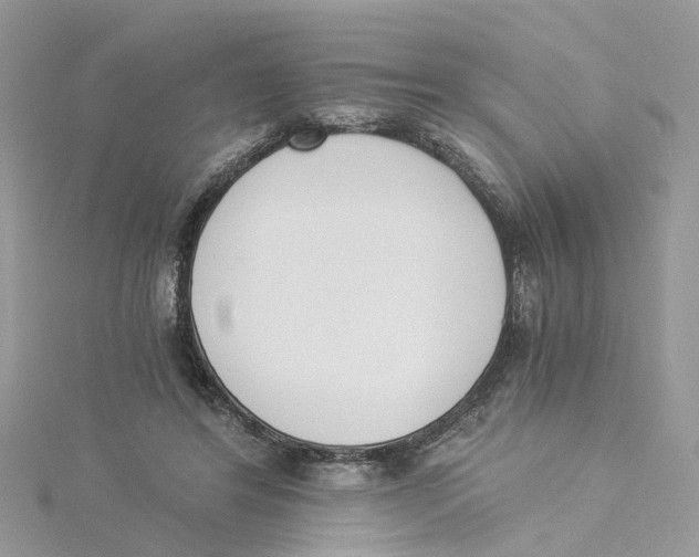 X0000114500404200911161238