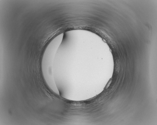 X0000114500405200911161238