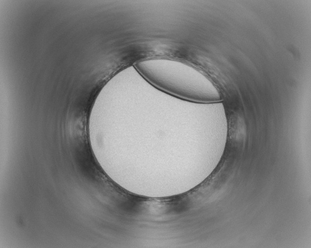 X0000114500425200911161238