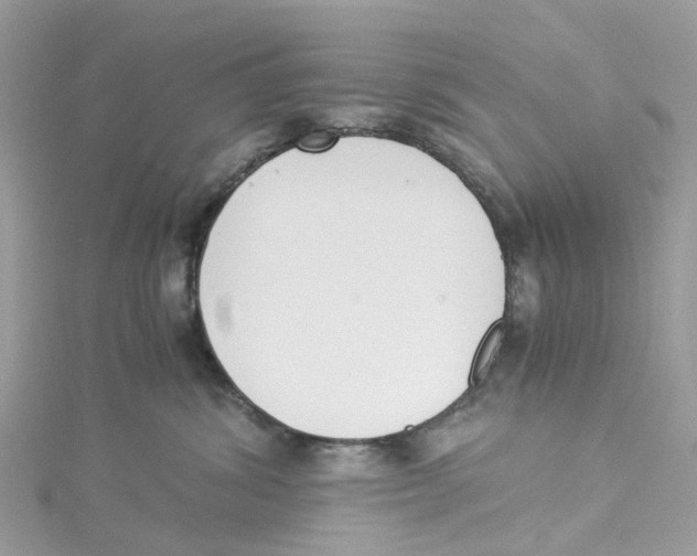 X0000114500428200911161238