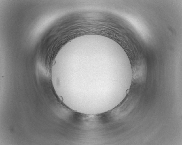 X0000114500431200911161237