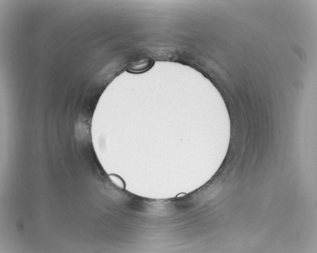 X0000114500432200911161237