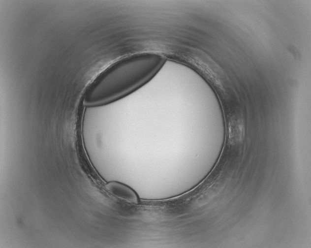 X0000114500436200911161237