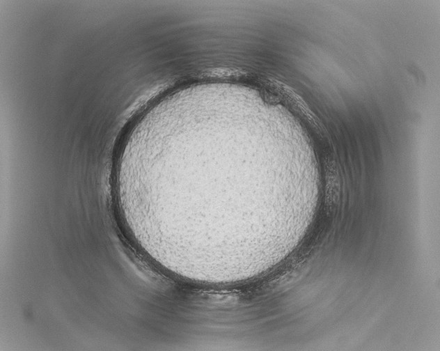 X0000114500443200911161237