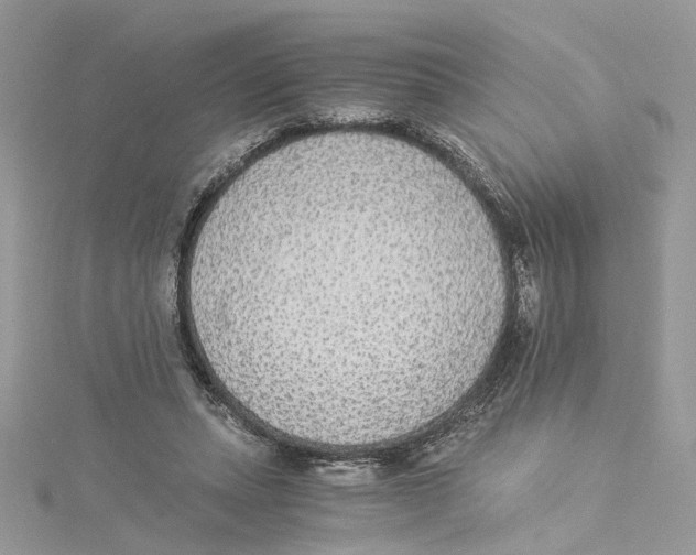 X0000114500447200911161237