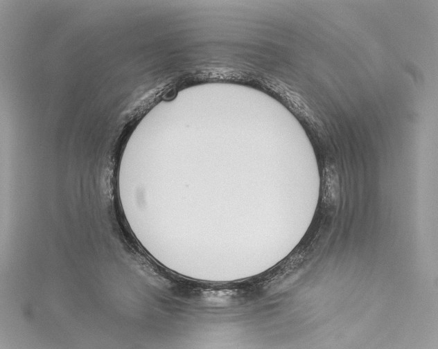 X0000114500450200911161237