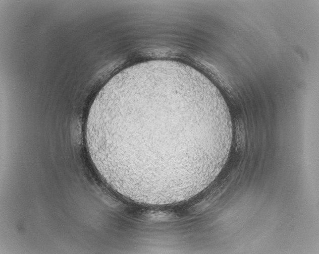 X0000114500453200911161237