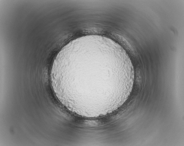 X0000114500457200911161237