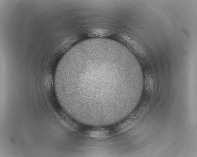 X0000114500459200911161237