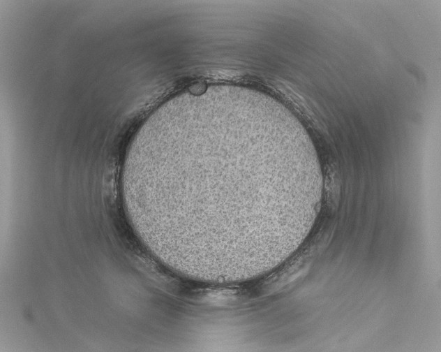 X0000114500462200911161237
